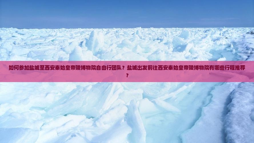 如何参加盐城至西安秦始皇帝陵博物院自由行团队？盐城出发前往西安秦始皇帝陵博物院有哪些行程推荐？