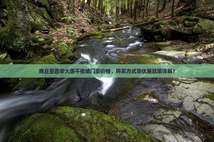 商丘至西安大唐不夜城门票价格、购买方式及优惠政策详解？