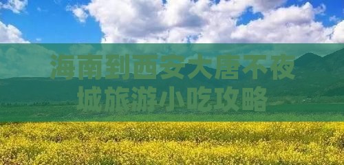 海南到西安大唐不夜城旅游小吃攻略