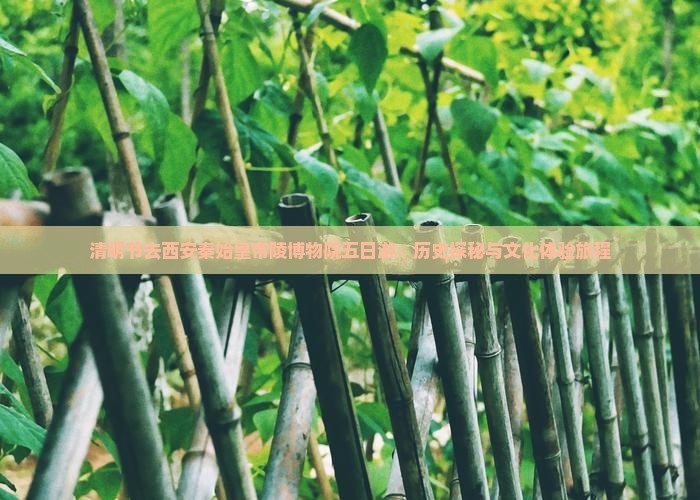 清明节去西安秦始皇帝陵博物院五日游：历史探秘与文化体验旅程