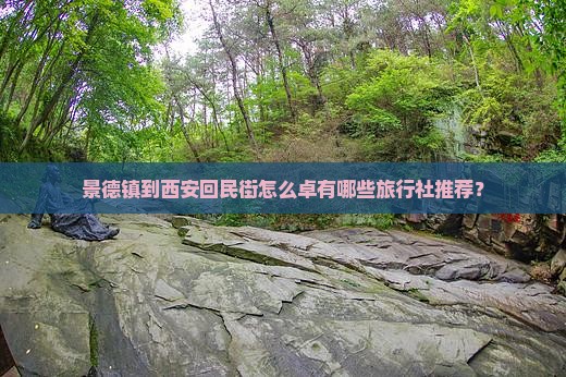 景德镇到西安回民街怎么卓有哪些旅行社推荐？