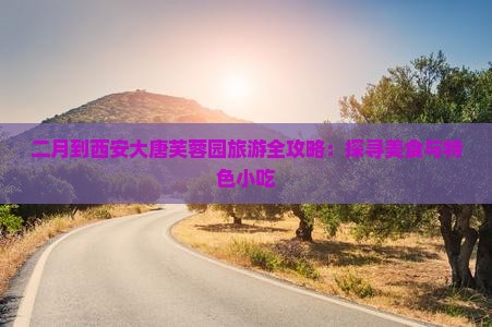 二月到西安大唐芙蓉园旅游全攻略：探寻美食与特色小吃