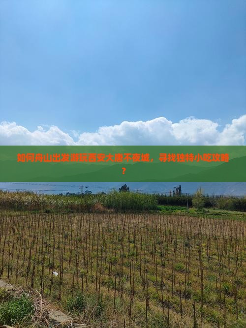如何舟山出发游玩西安大唐不夜城，寻找独特小吃攻略？