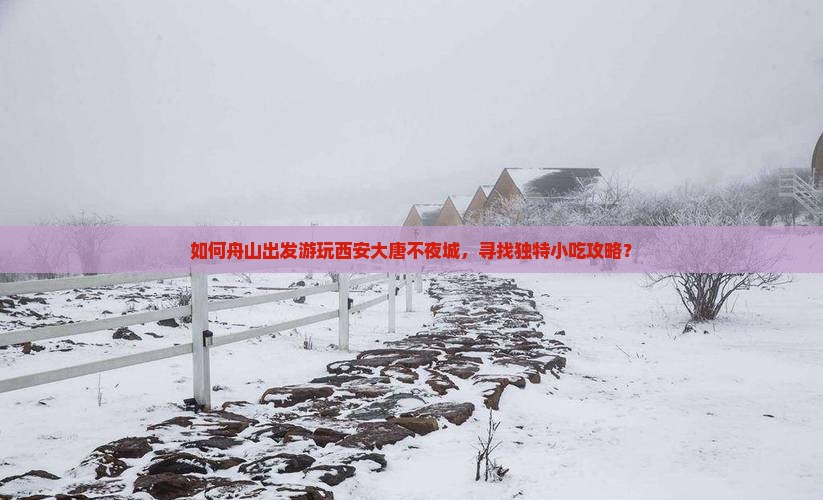 如何舟山出发游玩西安大唐不夜城，寻找独特小吃攻略？
