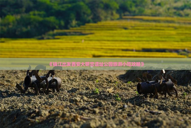 《镇江出发西安大明宫遗址公园旅游小吃攻略》