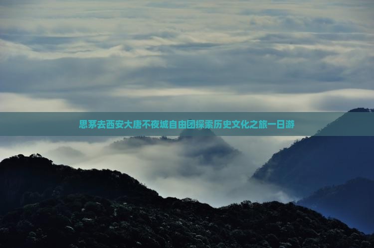 思茅去西安大唐不夜城自由团探索历史文化之旅一日游