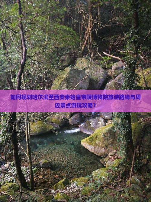 如何规划哈尔滨至西安秦始皇帝陵博物院旅游路线与周边景点游玩攻略？