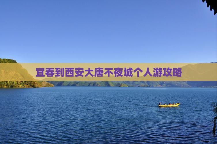 宜春到西安大唐不夜城个人游攻略