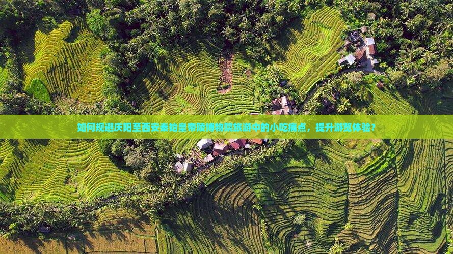 如何规避庆阳至西安秦始皇帝陵博物院旅游中的小吃痛点，提升游览体验？