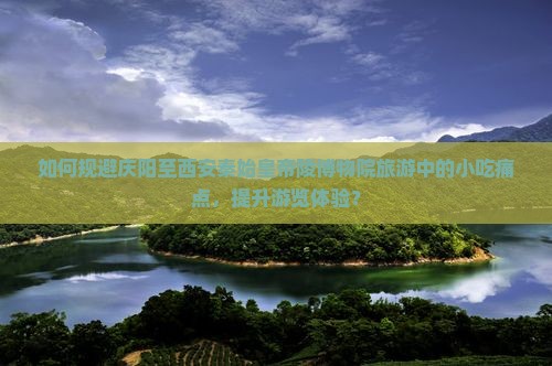 如何规避庆阳至西安秦始皇帝陵博物院旅游中的小吃痛点，提升游览体验？