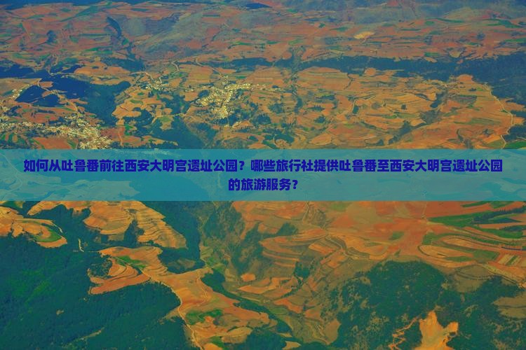 如何从吐鲁番前往西安大明宫遗址公园？哪些旅行社提供吐鲁番至西安大明宫遗址公园的旅游服务？