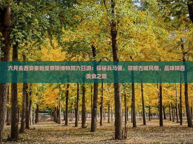 六月去西安秦始皇帝陵博物院六日游：探秘兵马俑，领略古城风情，品味陕西美食之旅
