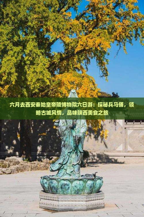 六月去西安秦始皇帝陵博物院六日游：探秘兵马俑，领略古城风情，品味陕西美食之旅