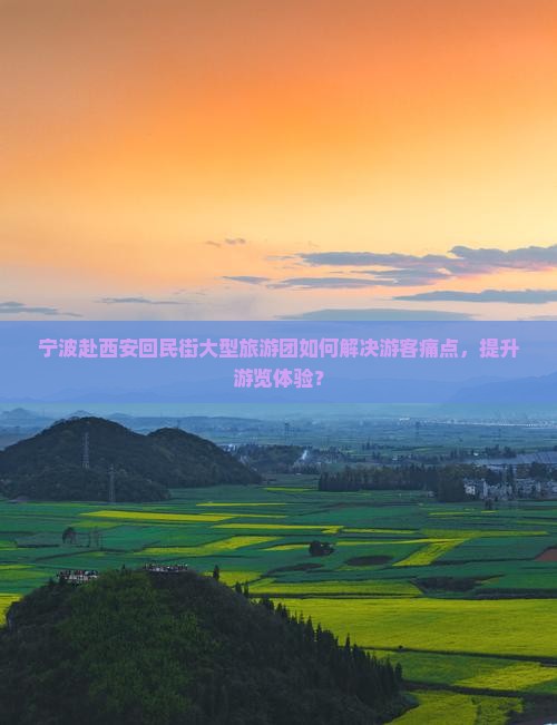 宁波赴西安回民街大型旅游团如何解决游客痛点，提升游览体验？