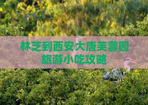 林芝到西安大唐芙蓉园旅游小吃攻略