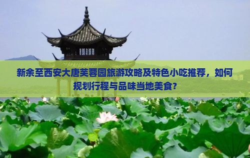 新余至西安大唐芙蓉园旅游攻略及特色小吃推荐，如何规划行程与品味当地美食？