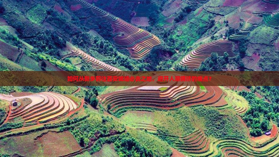 如何从新乡前往西安城墙必去之地，避开人潮拥挤的痛点？
