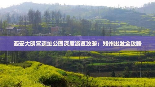 西安大明宫遗址公园深度游览攻略：郑州出发全攻略