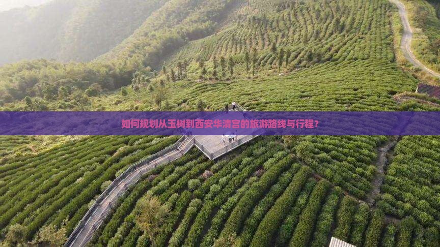如何规划从玉树到西安华清宫的旅游路线与行程？