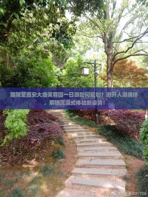 醴陵至西安大唐芙蓉园一日游如何规划？避开人潮拥挤，解锁沉浸式体验新姿势！