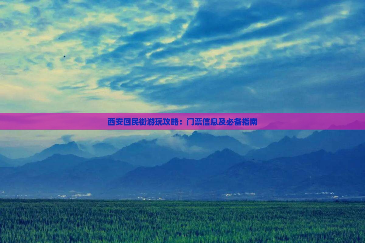 西安回民街游玩攻略：门票信息及必备指南
