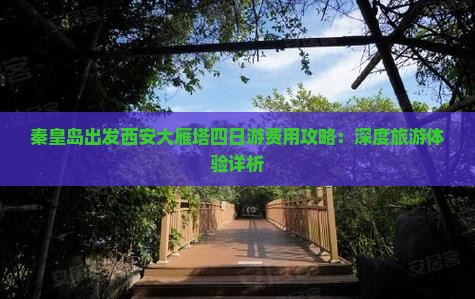 秦皇岛出发西安大雁塔四日游费用攻略：深度旅游体验详析