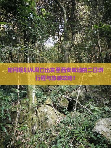 如何规划从周口出发至西安城墙的二日游行程与旅游攻略？