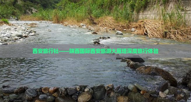西安旅行社——陕西国际西安旅游大雁塔深度旅行体验