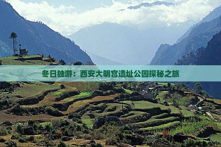 冬日独游：西安大明宫遗址公园探秘之旅