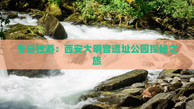 冬日独游：西安大明宫遗址公园探秘之旅