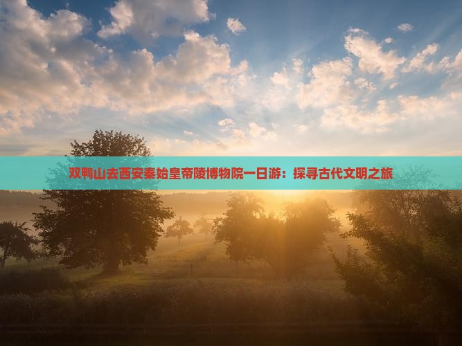 双鸭山去西安秦始皇帝陵博物院一日游：探寻古代文明之旅