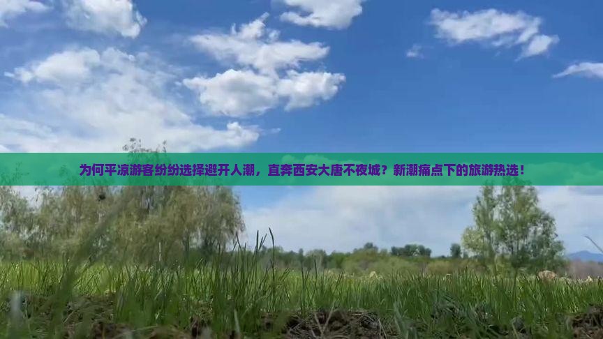 为何平凉游客纷纷选择避开人潮，直奔西安大唐不夜城？新潮痛点下的旅游热选！