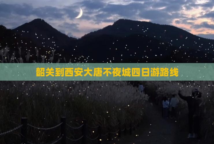 韶关到西安大唐不夜城四日游路线