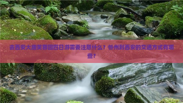 去西安大唐芙蓉园四日游需要注意什么？忻州到西安的交通方式有哪些？