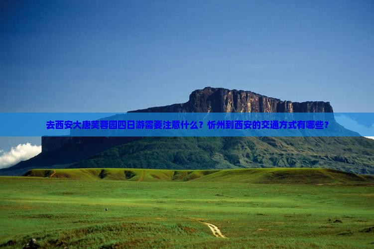 去西安大唐芙蓉园四日游需要注意什么？忻州到西安的交通方式有哪些？