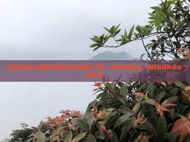 如何规划凉山至西安陕西历史博物馆七日游，解决游客痛点，玩转新词热词必去景点？