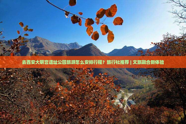 去西安大明宫遗址公园旅游怎么安排行程？旅行社推荐 | 文旅融合新体验