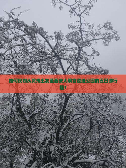 如何规划从贺州出发至西安大明宫遗址公园的五日游行程？