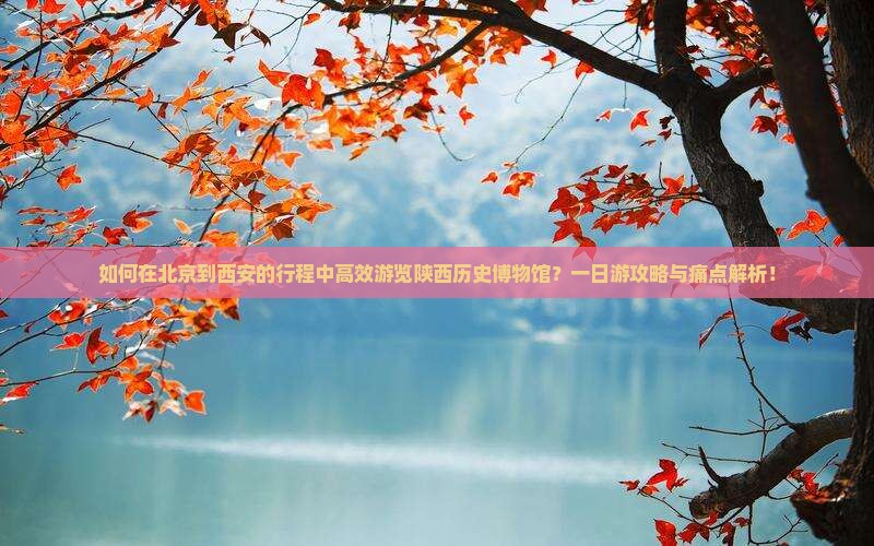 如何在北京到西安的行程中高效游览陕西历史博物馆？一日游攻略与痛点解析！