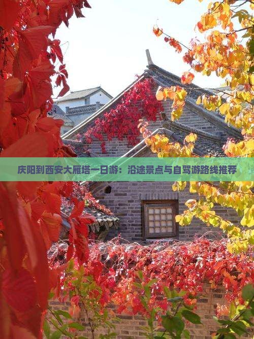 庆阳到西安大雁塔一日游：沿途景点与自驾游路线推荐