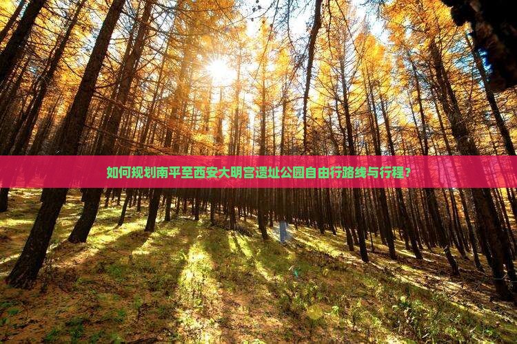 如何规划南平至西安大明宫遗址公园自由行路线与行程？