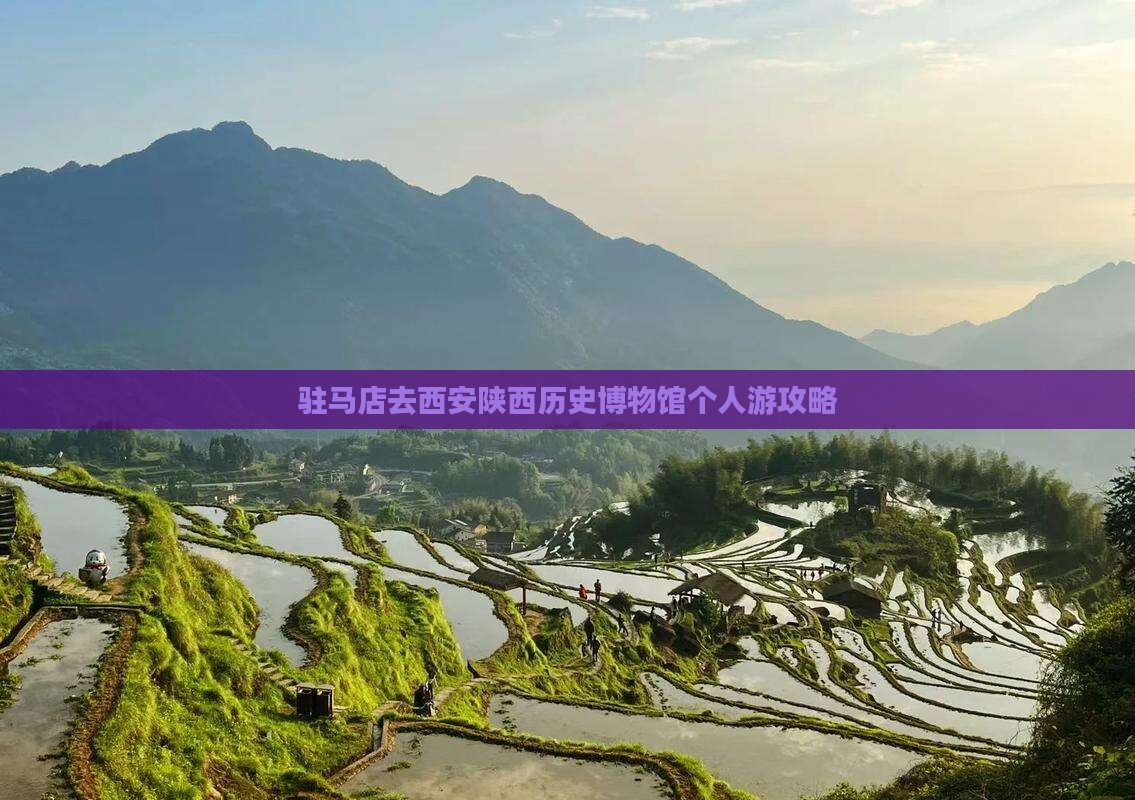 驻马店去西安陕西历史博物馆个人游攻略