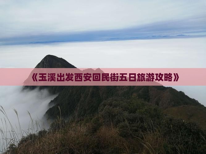 《玉溪出发西安回民街五日旅游攻略》