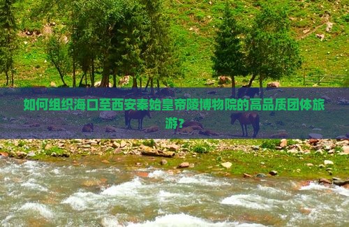 如何组织海口至西安秦始皇帝陵博物院的高品质团体旅游？