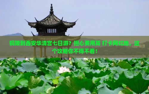 铜陵到西安华清宫七日游？担心费用高+打卡网红地，这个攻略你不得不看！