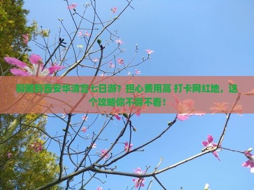 铜陵到西安华清宫七日游？担心费用高+打卡网红地，这个攻略你不得不看！