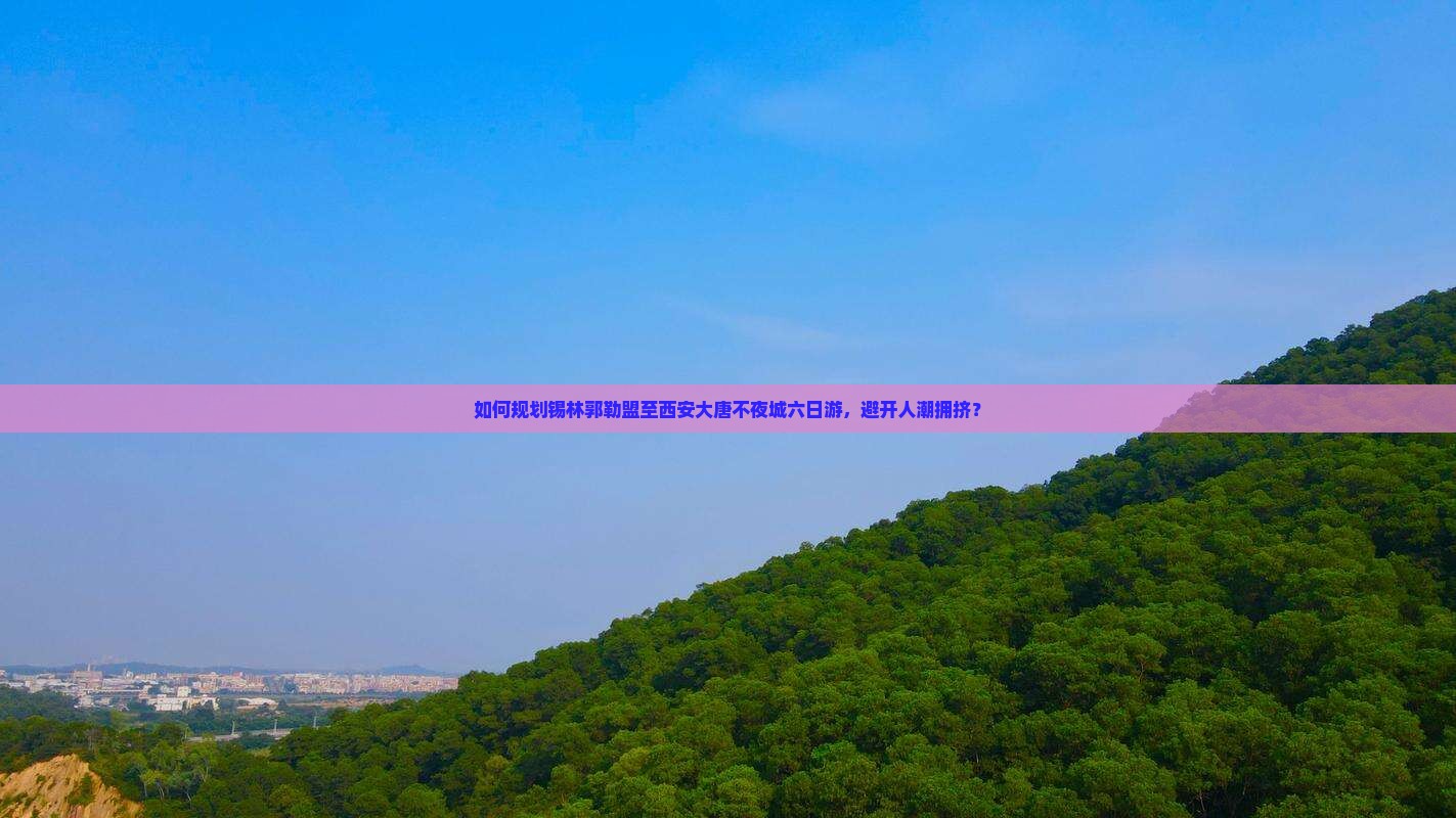 如何规划锡林郭勒盟至西安大唐不夜城六日游，避开人潮拥挤？