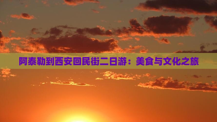 阿泰勒到西安回民街二日游：美食与文化之旅