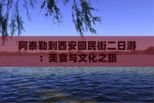 阿泰勒到西安回民街二日游：美食与文化之旅