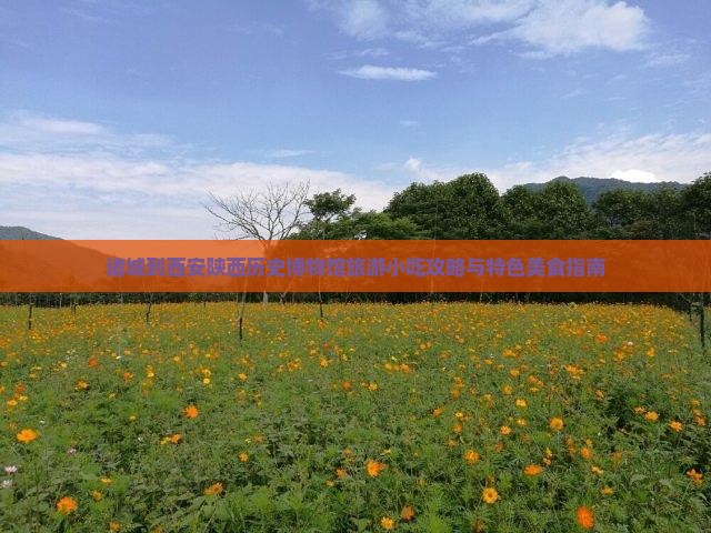 诸城到西安陕西历史博物馆旅游小吃攻略与特色美食指南